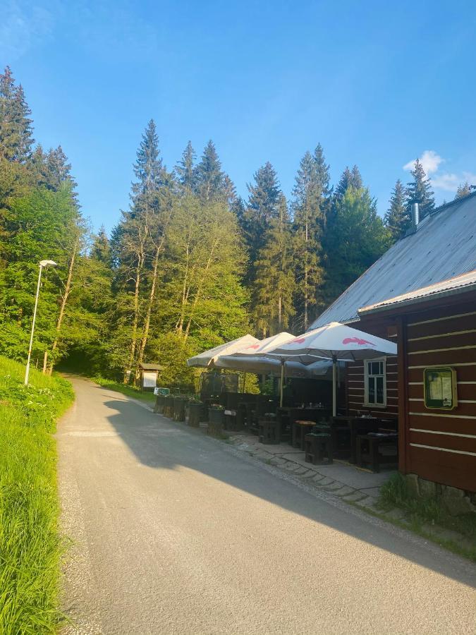 Penzion Lesni Zatisi- Harrachov Exterior photo